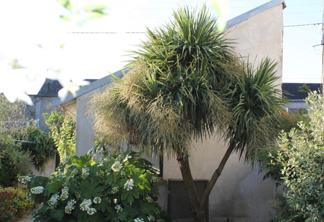 Duplex Confort Et Jardin Charmant น็องต์ ภายนอก รูปภาพ